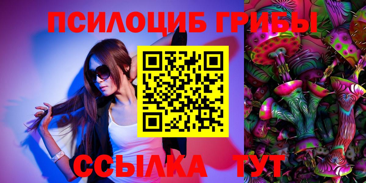 Псилоцибиновые грибы мицелий Заринск