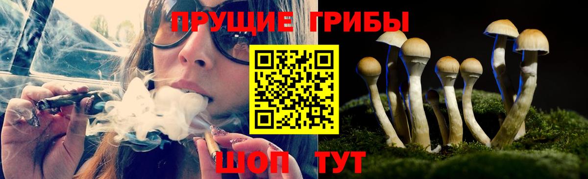 Кокаин  Заринск  ГАШ  Alpha PVP СОЛЬ кристаллы  Вейп ТГК  Вход с VPN  Купить наркотики  МЕТАМФЕТАМИН  Мефедрон кристаллы 